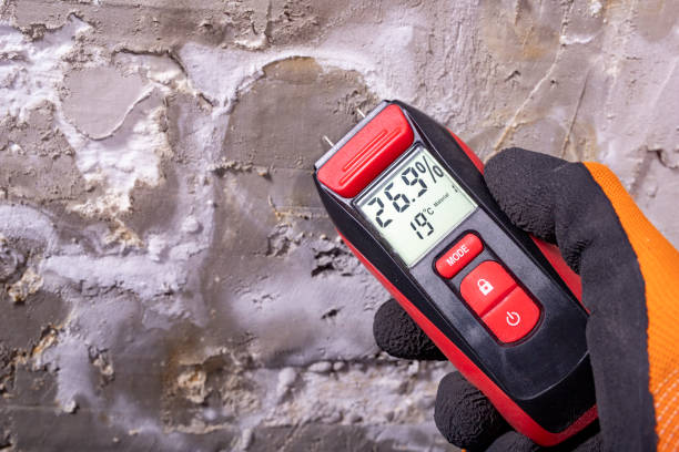Professional Mold Removal in Manson, IA