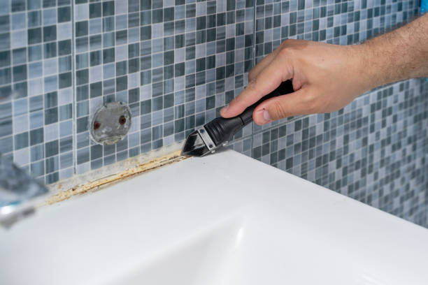 Mold Testing and Removal in Manson, IA